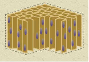 Table-Diagram-02-300x210-1