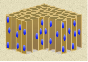 Table-Diagram-03-300x214-1
