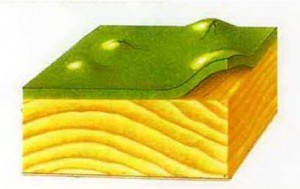 drywood-akrilik-300x189-1