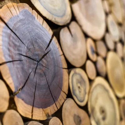 perspective-view-of-round-wooden-unpainted-solid-n-2026-01-07-05-47-19-utc